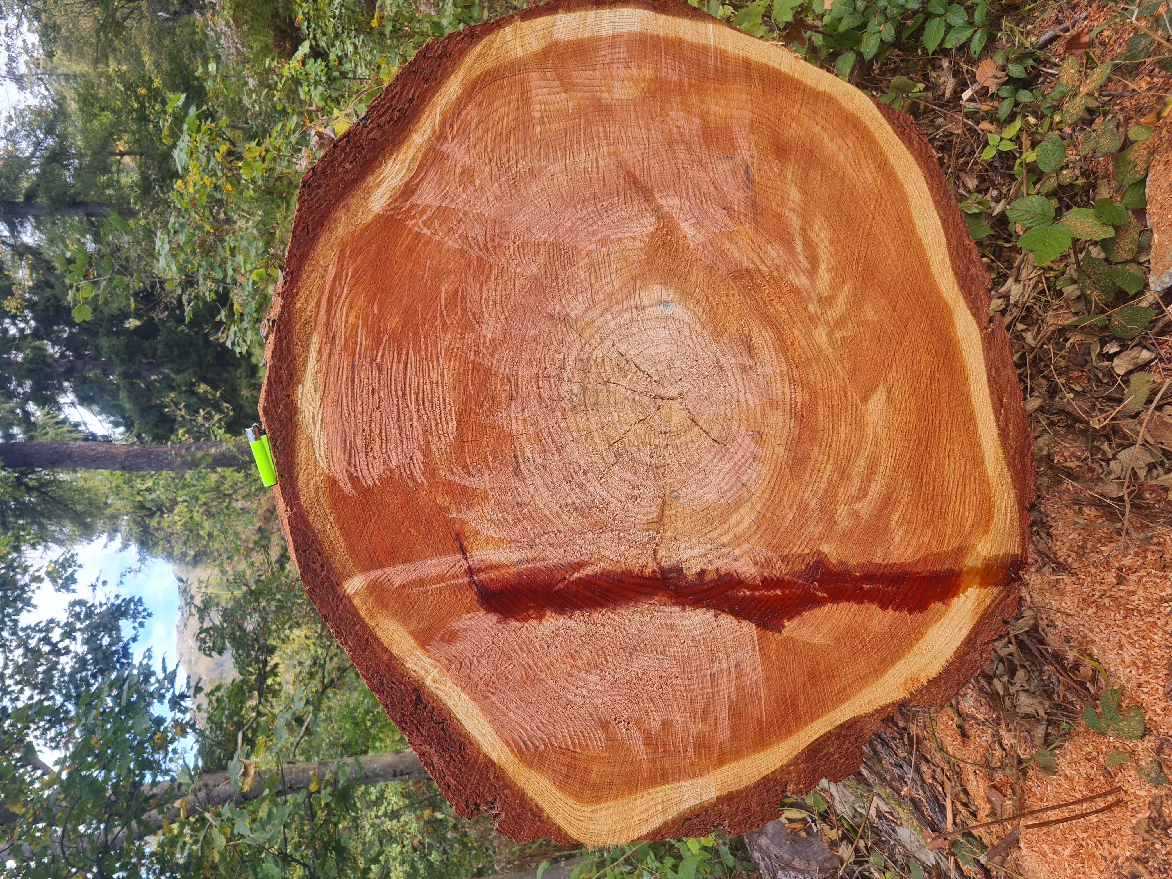 Gestione del territorio